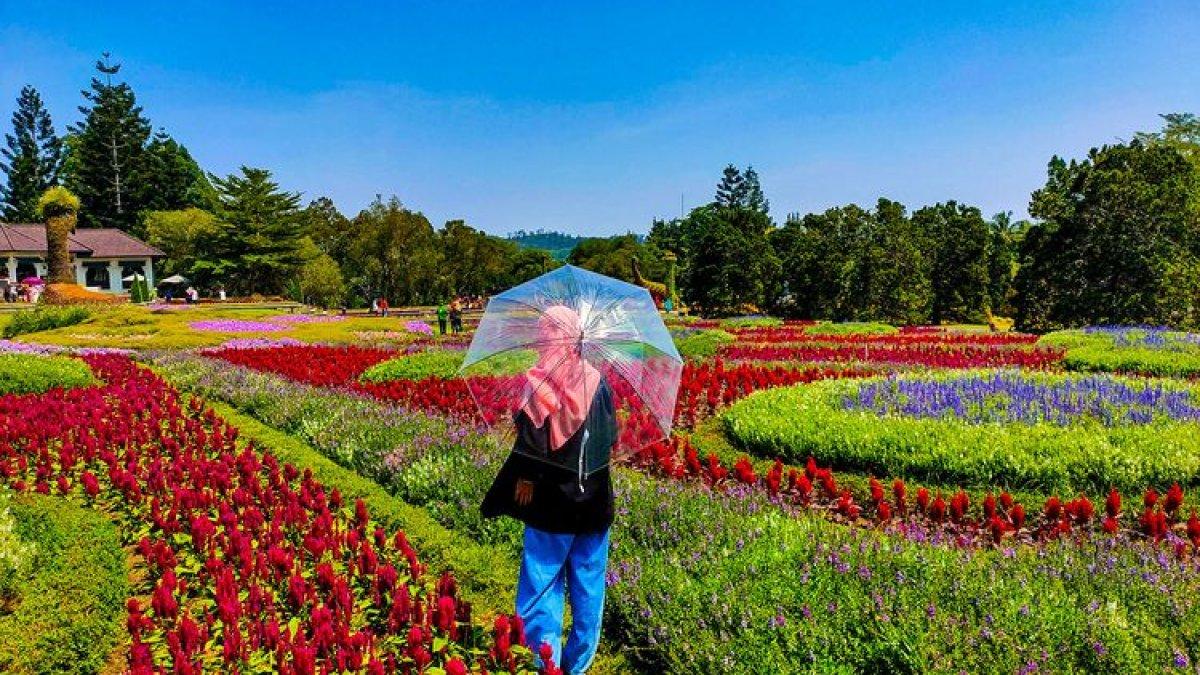 WISATA CIANJUR: Taman Bunga Nusantara, Cianjur, Jawa Barat