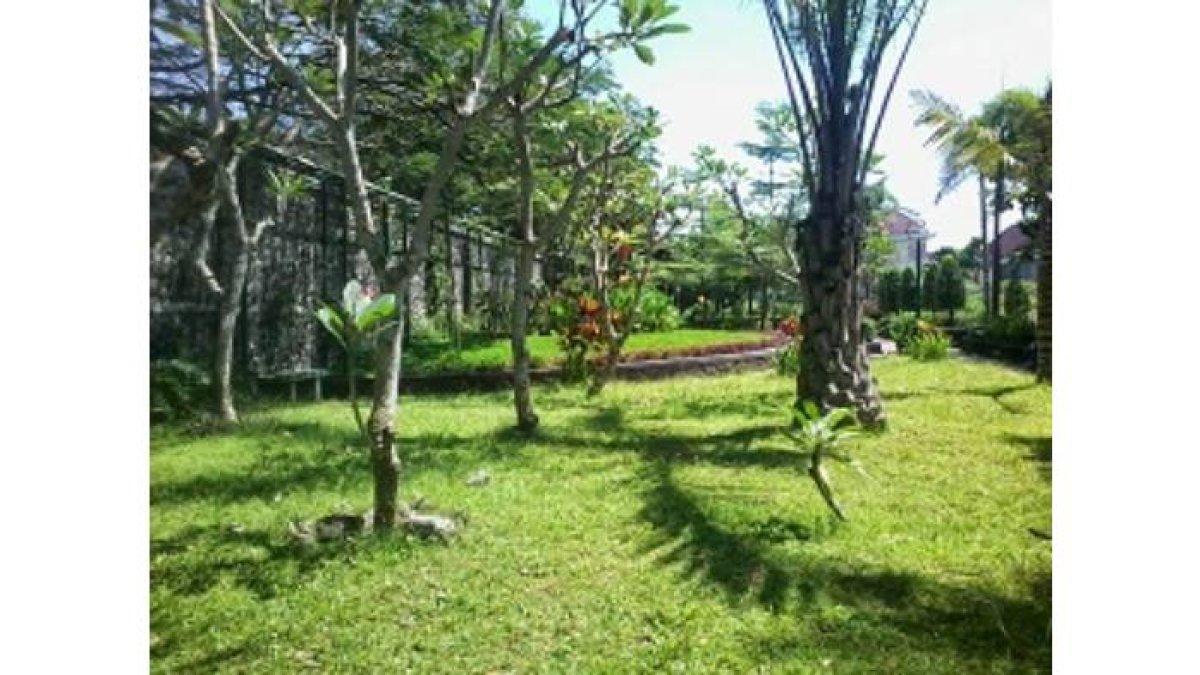 TAMAN DI KLATEN: Taman Stadion Trikoyo Klaten