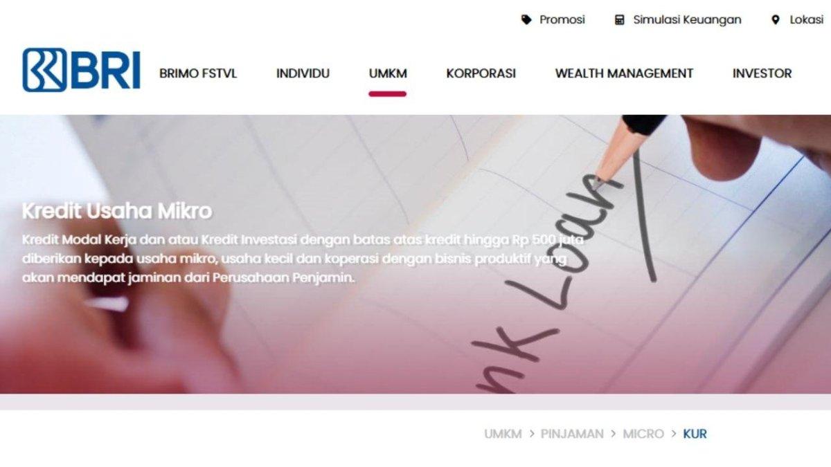 Tangkapan layar laman bri.co.id/kur.