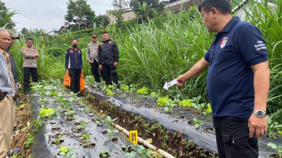 Teka-teki kematian pria yang mayatnya ditemukan di kebun, s