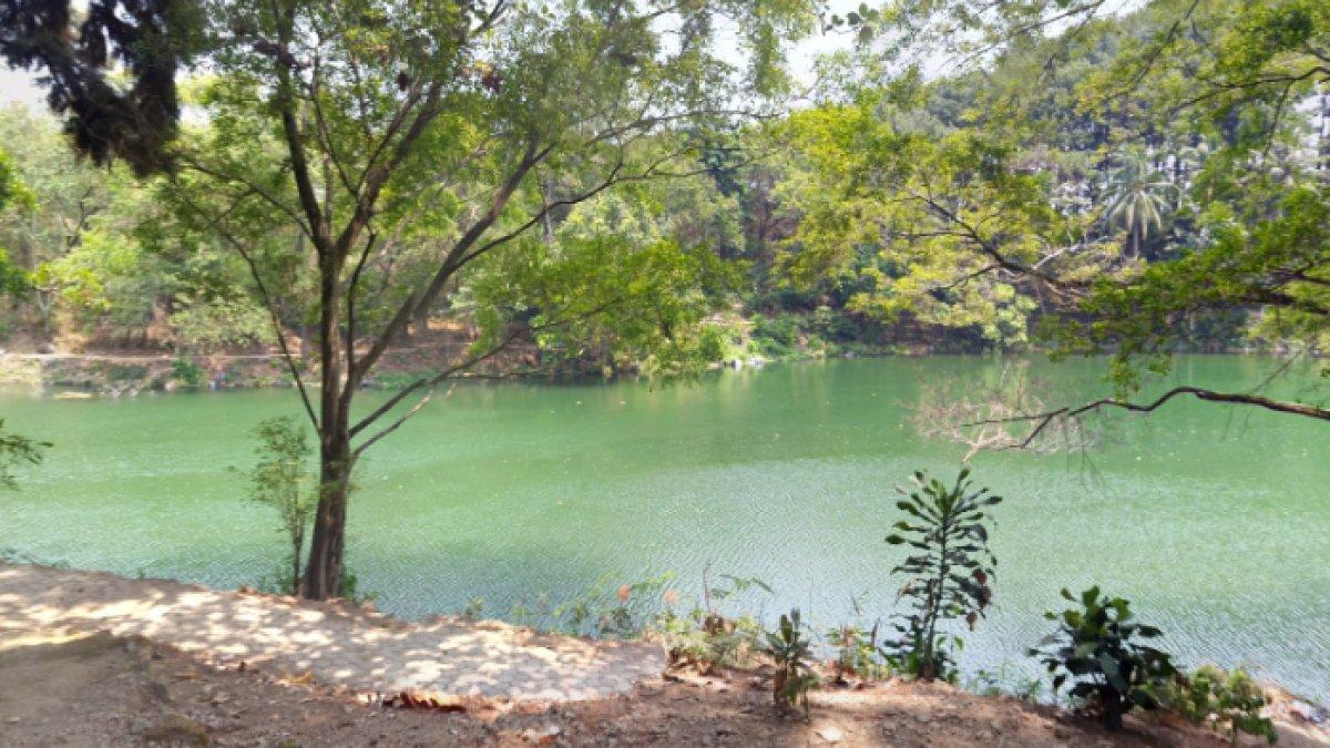 WISATA AIR - Potret Telaga Remis diambil dari Google Street View pada Jumat (14/3/2025). Telaga Remis berada di Kabupaten Kuningan, Jawa Barat.