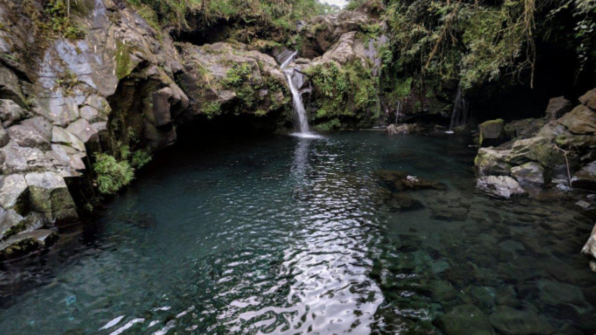WISATA AIR - Potret Telaga Sunyi diambil dari Google Street View pada Selasa (8/4/2025). Telaga Sunyi terletak di Kabupaten Banyumas, Jawa Tengah.