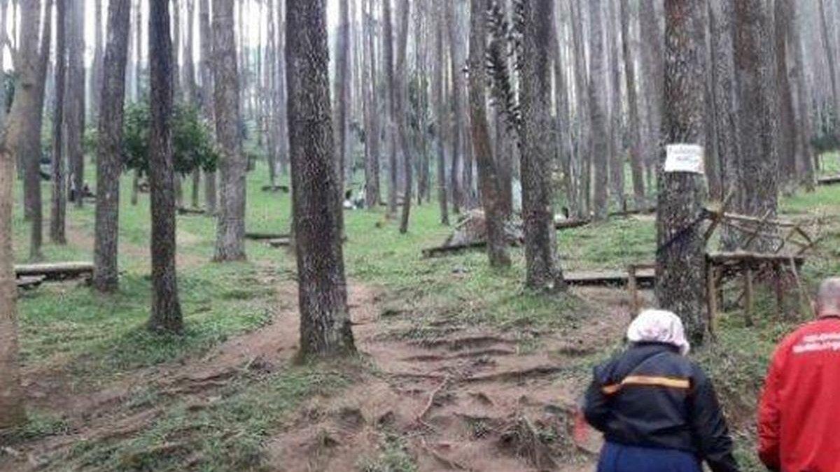 WISATA BANDUNG: Tempat wisata Batu Kuda, Bandung