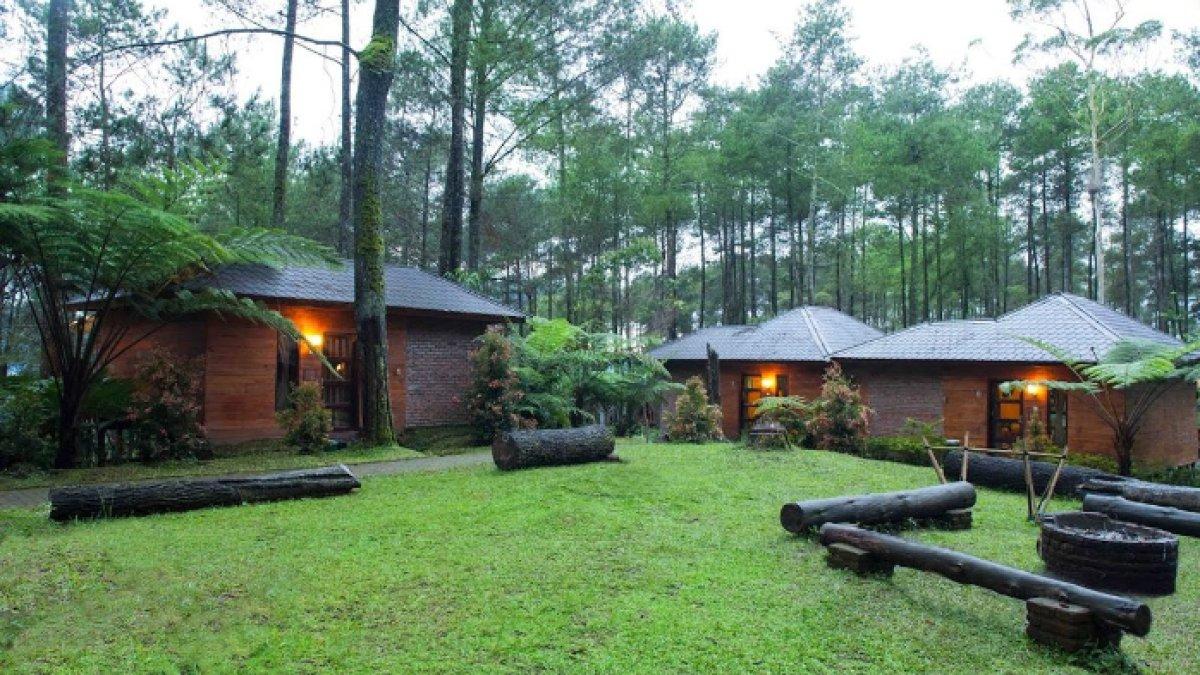 WISATA ALAM - Potret Terminal Wisata Grafika Cikole disadur dari Kompas.com pada Kamis (24/4/2025).Terminal Wisata Grafika Cikole berada di Jalan Raya Tangkuban Perahu KM 23, Cikole, Lembang, Bandung Barat.