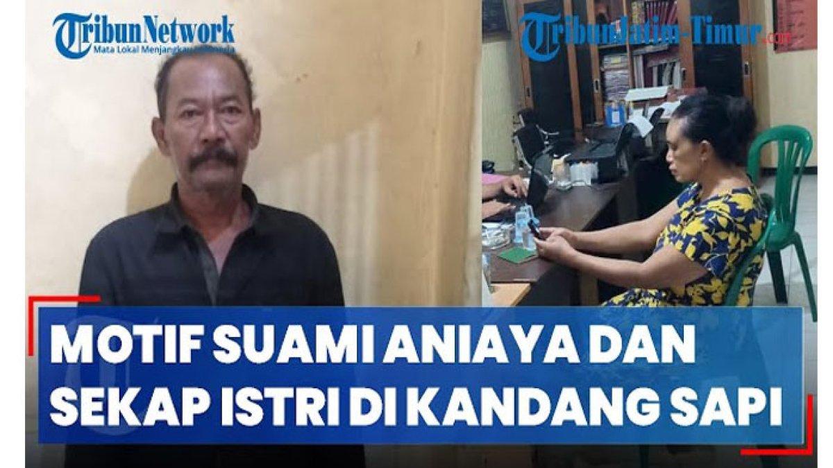 Terungkap motip suami di Jember yang tega sekap istrinya di kandang sapi.
