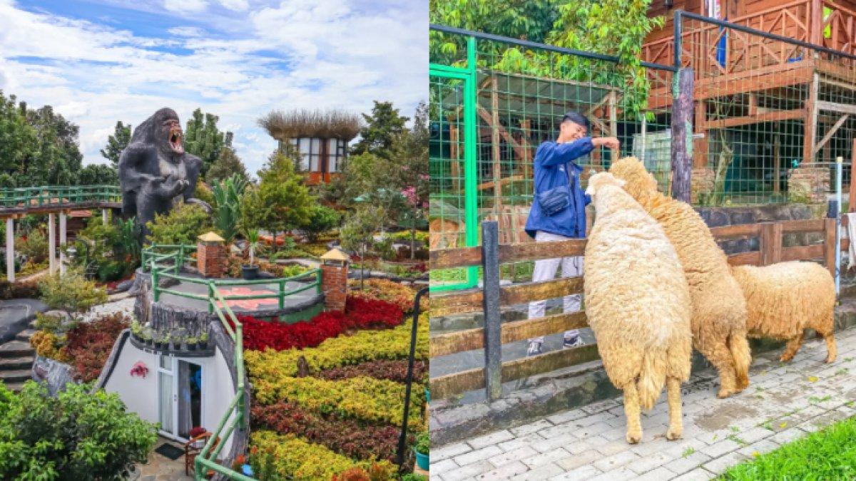 WISATA SERU - Potret The Farm Pancawati diambil dari Instagram pada Senin (5/5/2025). The Farm Pancawati lokasinya di Jalan Tapos, Pancawati, Kecamatan Caringin, Kabupaten Bogor, Jawa Barat. 