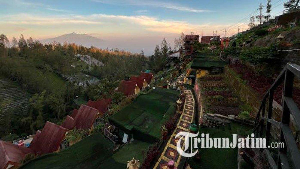 WISATA MENARIK - Tak hanya menawarkan penginapan yang nyaman, The Nature Bromo kini menjadi magnet wisata baru berkat berbagai wahana ekstrem di ketinggian yang berpadu dengan keindahan panorama lereng Gunung Bromo, Jawa Timur, Senin (28/4/2025). Terletak di kawasan pegunungan Pasuruan, destinasi ini menawarkan pengalaman seru yang menggabungkan adrenalin dan keindahan alam dalam satu paket liburan.