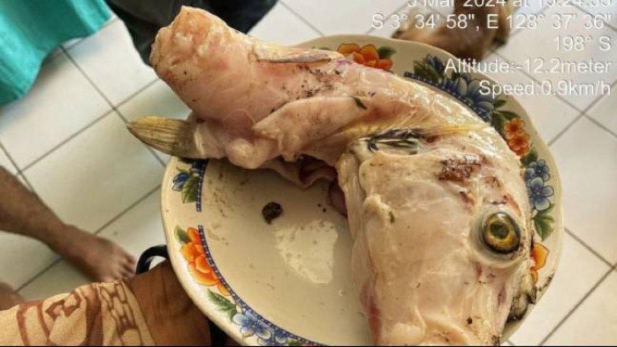 Tiga warga yang merupakan ibu dan dua anak perempuan meninggal dunia akibat keracunan setelah mengkonsumsi telur ikan buntal yang digoreng.