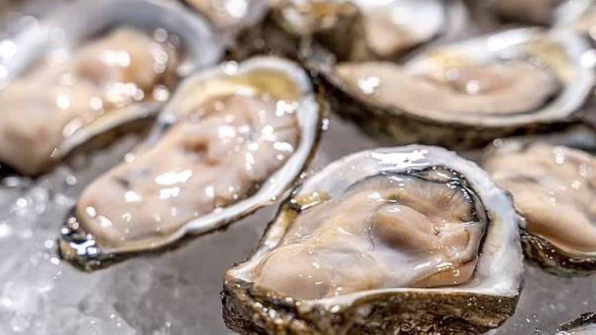 Seorang pria asal Texas berusia 30-an meninggal setelah memakan tiram mentah yang terinfeksi bakteri pemakan daging yang mematikan