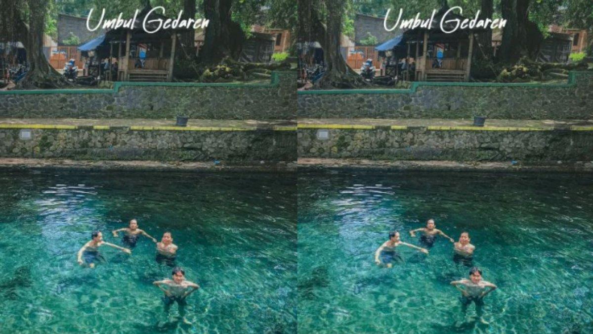 UMBUL DI KLATEN - Umbul Gedaren di Klaten. Pengunjung sedang berenang di Umbul Gedaren.