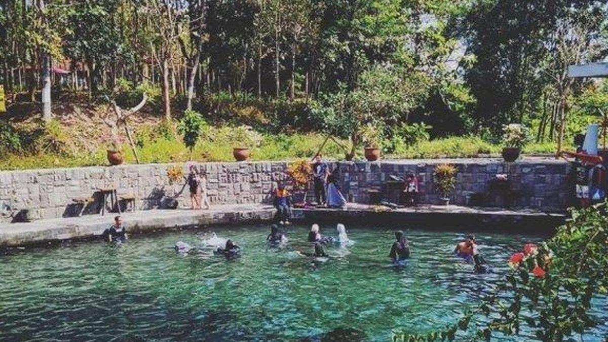 UMBUL DI KLATEN - Pemandangan umbul besuki