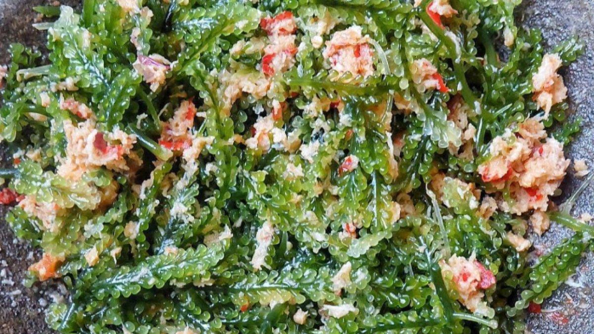 KULINER KHAS REMBANG: