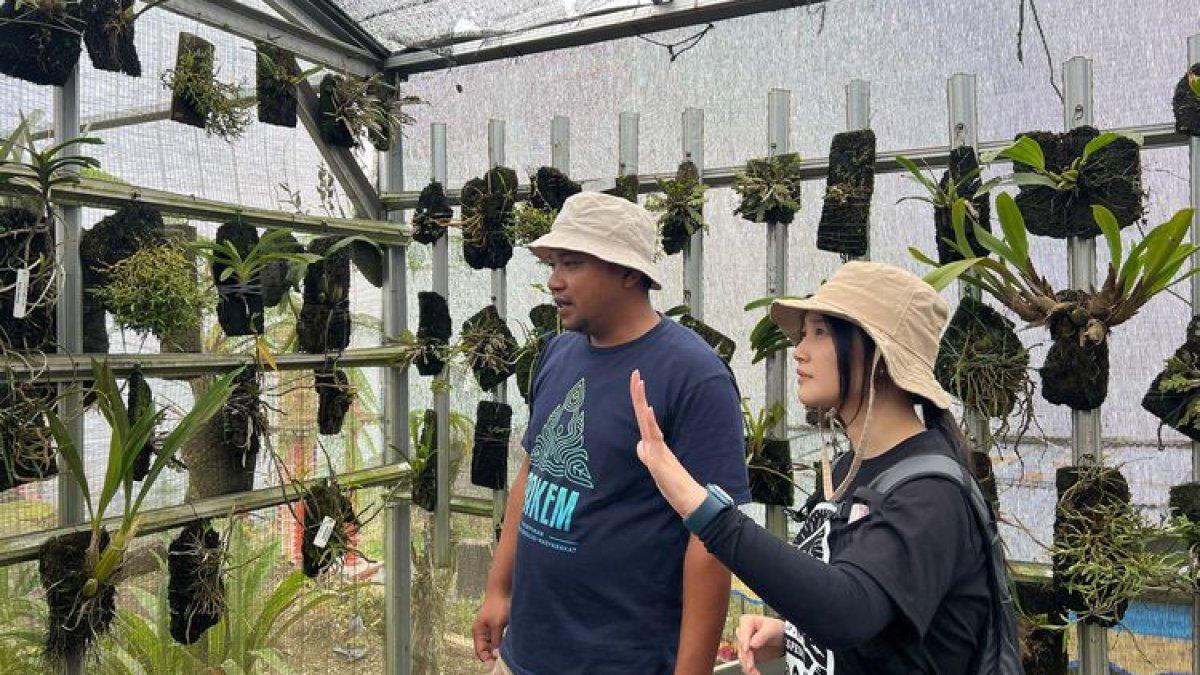 WISATA BOYOLALI - Wisatawan berada di tempat budi daya anggrek Dusun Gumuk, Boyolali.