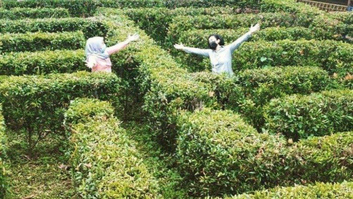 WISATA DI JAKSEL - Kampung Main Cipulir, satu tempat wisata di Jakarta Selatan.