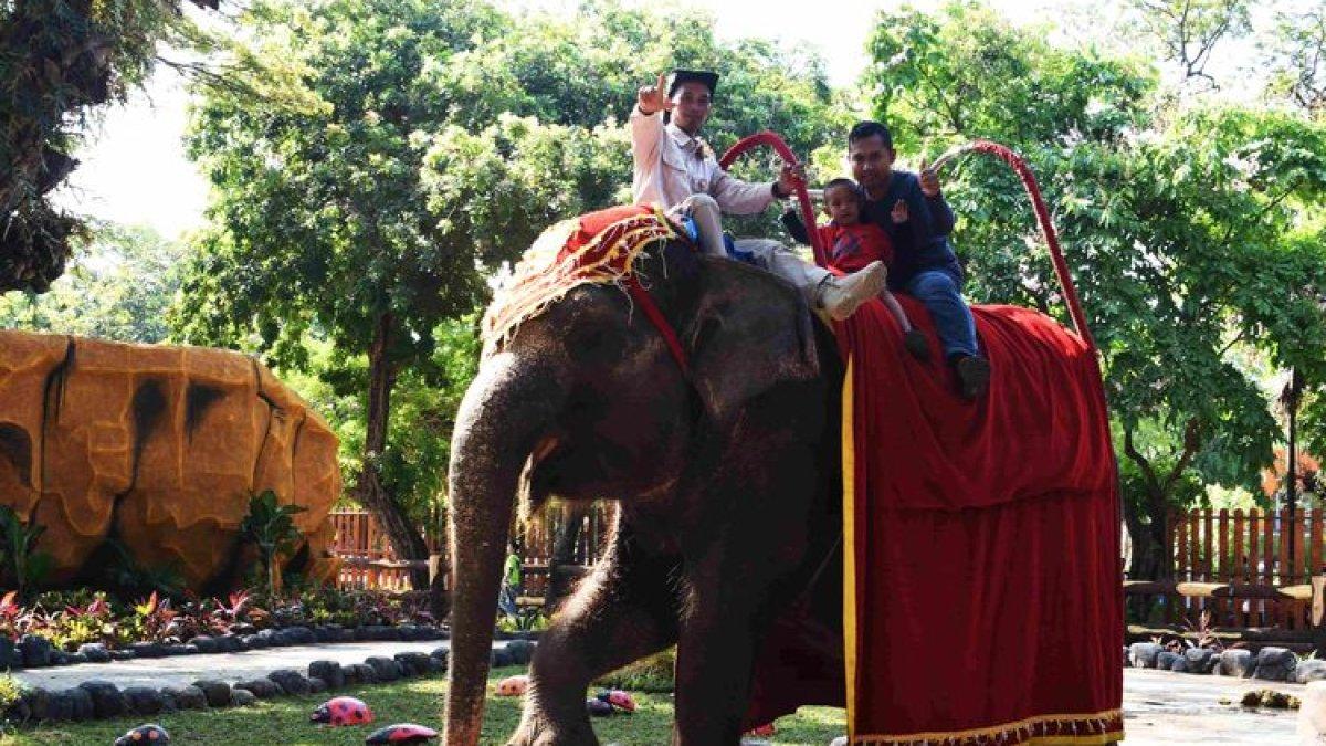 WISATA SURABAYA - Kebun Binatang Surabaya