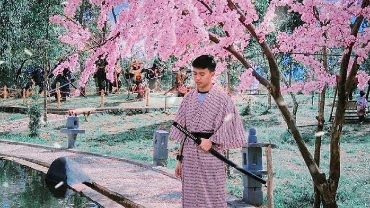 WISATA TAWANGMANGU - Sakura Hills Tawangmangu.