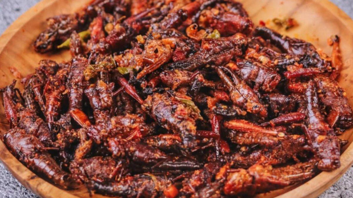 REKOMENDASI KULINER LEZAT: