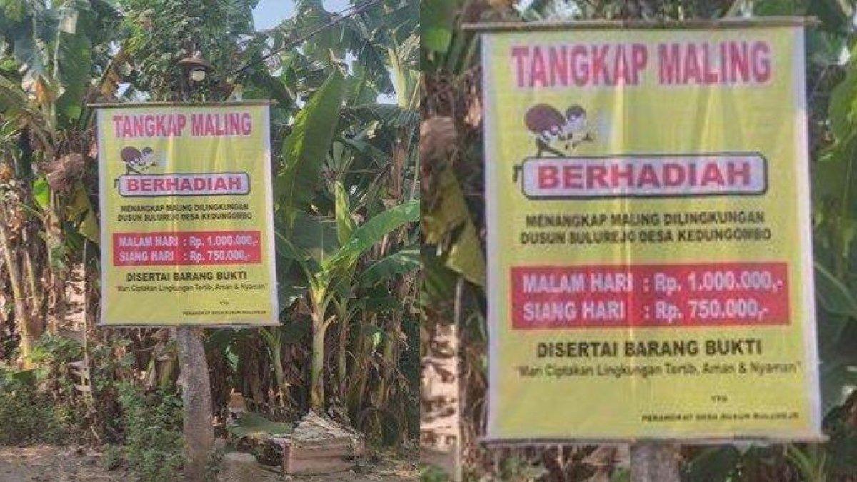 Warga Dusun Bulurejo, Desa Kedung Ombo, Kecamatan Tanjunganom, Kabupaten Nganjuk memasang spanduk sayembara tangkap maling, Kamis (13/6/2024)