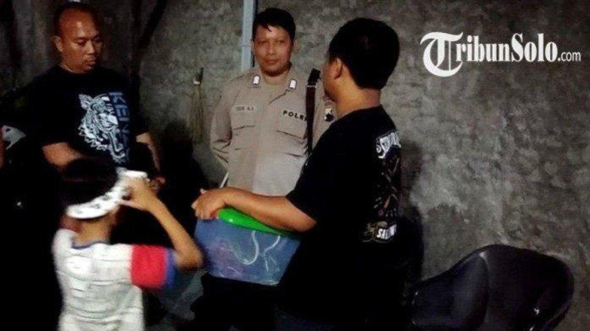 Warga Karanganyar, Jawa Tengah dihebohkan dengan kiriman paket berisi 12 ular hidup,.