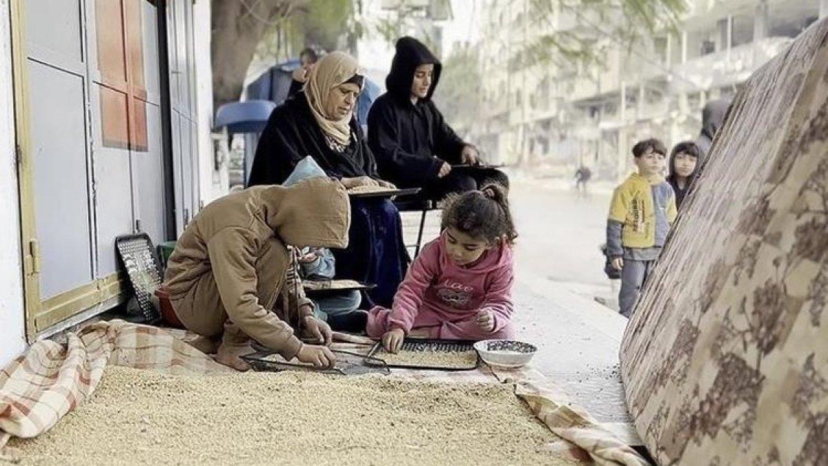 Warga Palestina di utara Gaza harus menggiling gandum dan jagung, yang seharusnya itu dihasilkan sebagai pakan ternak.