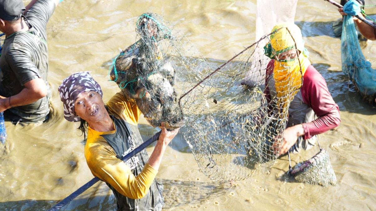 FESTIVAL MEMET IKAN - Ribuan warga berebut ikan saat Festival Memet Ikan 2025, di Embung Desa Gemblegan, Kecamatan Kalikotes, Klaten, Minggu (20/7/2025).