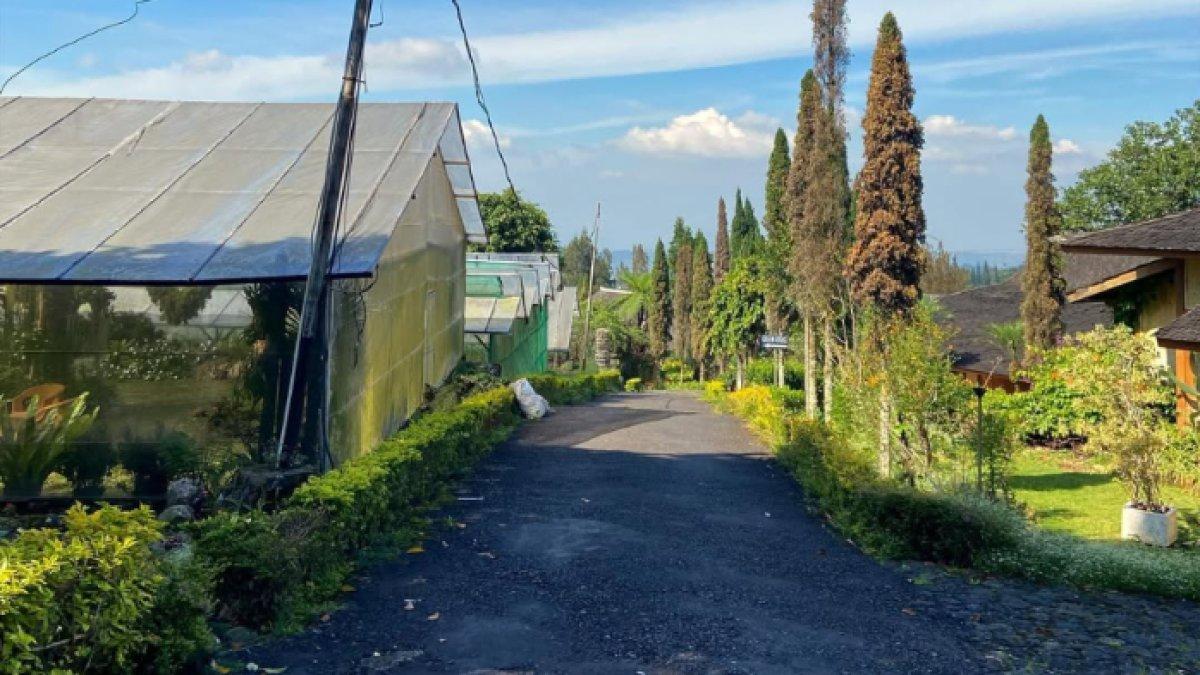 WISATA ALAM - Potret Wisata Agro Inkarla diambil dari Instagram pada Jumat (14/3/2025). Wisata Agro Inkarla terletak di Cipanas, Cianjur, Jawa Barat.