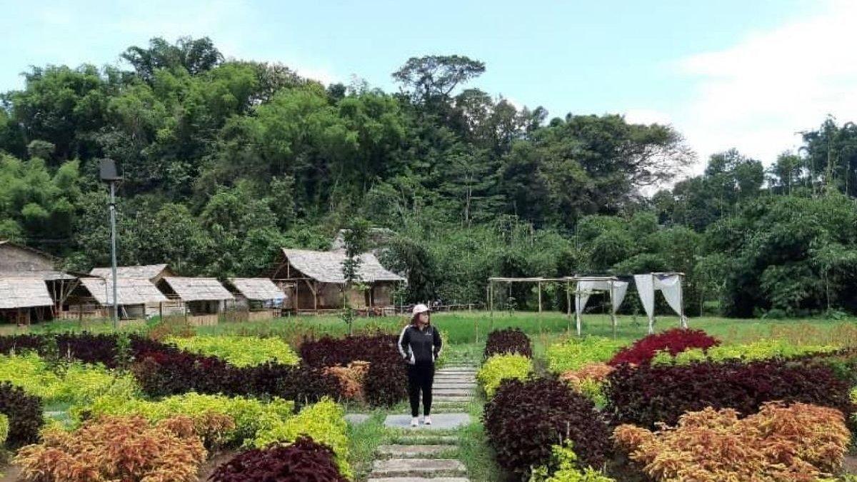 WISATA MAGETAN: Wisata Randugede di Magetan, Jawa Timur