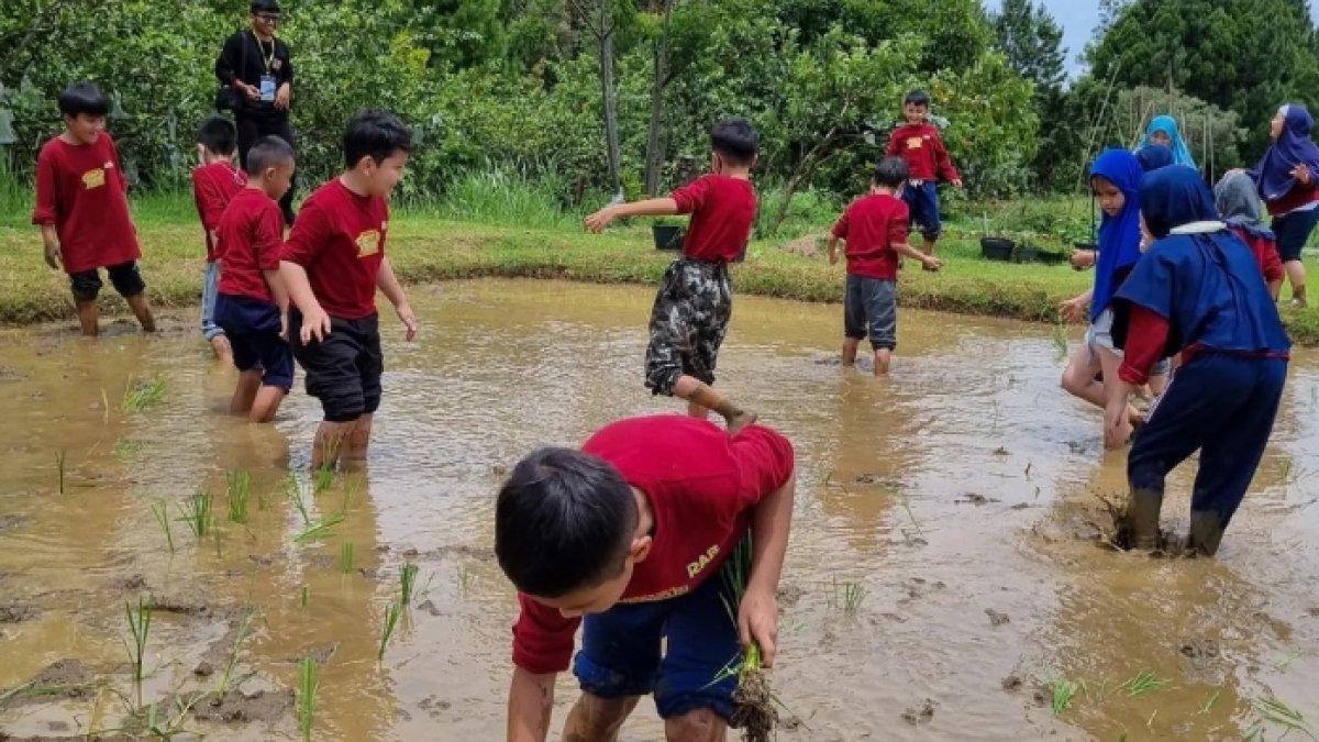 WISATA BOGOR: Wisatawan sedang bercocok tanam di Kuntum Farmfield, tempat wisata di Bogor untuk liburan kelurga