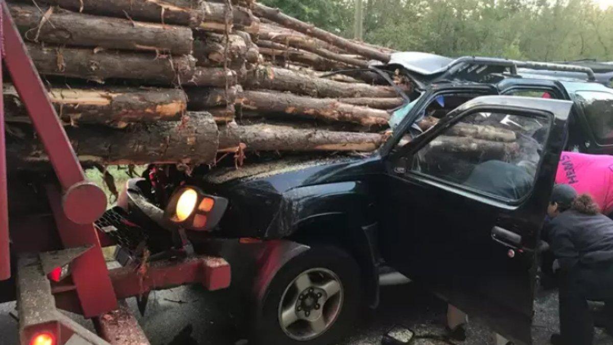 AJAIB! Seorang pengemudi mobil berhasil selamat dari kecelakaan truk, mobil korban ringsek ditembus kayu gelondongan.