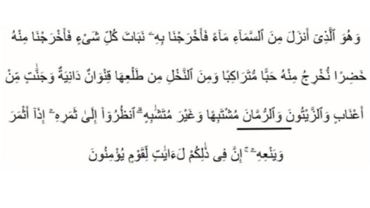 Al-Anam