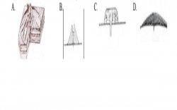 Gambar jawaban soal 5