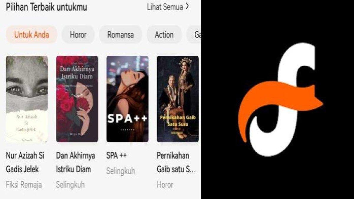 aplikasi Fizzo Novel