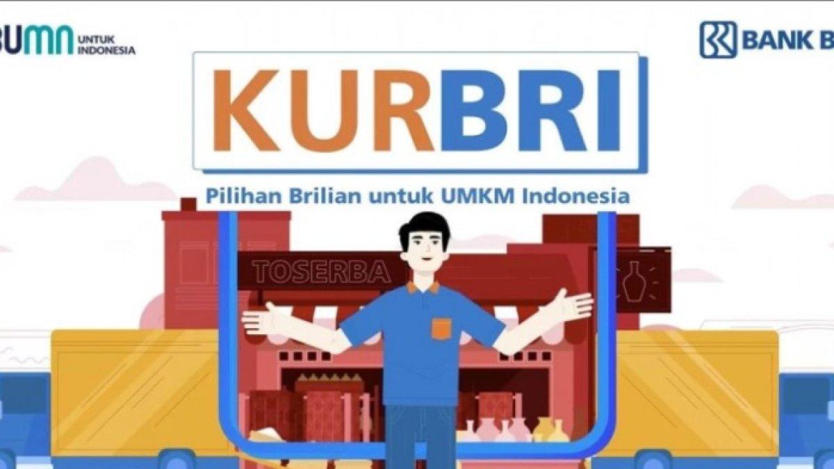 Begini cara pinjam uang lewat KUR BRI, dijamin praktis, cocok untuk modal usaha, dijamin cuan.