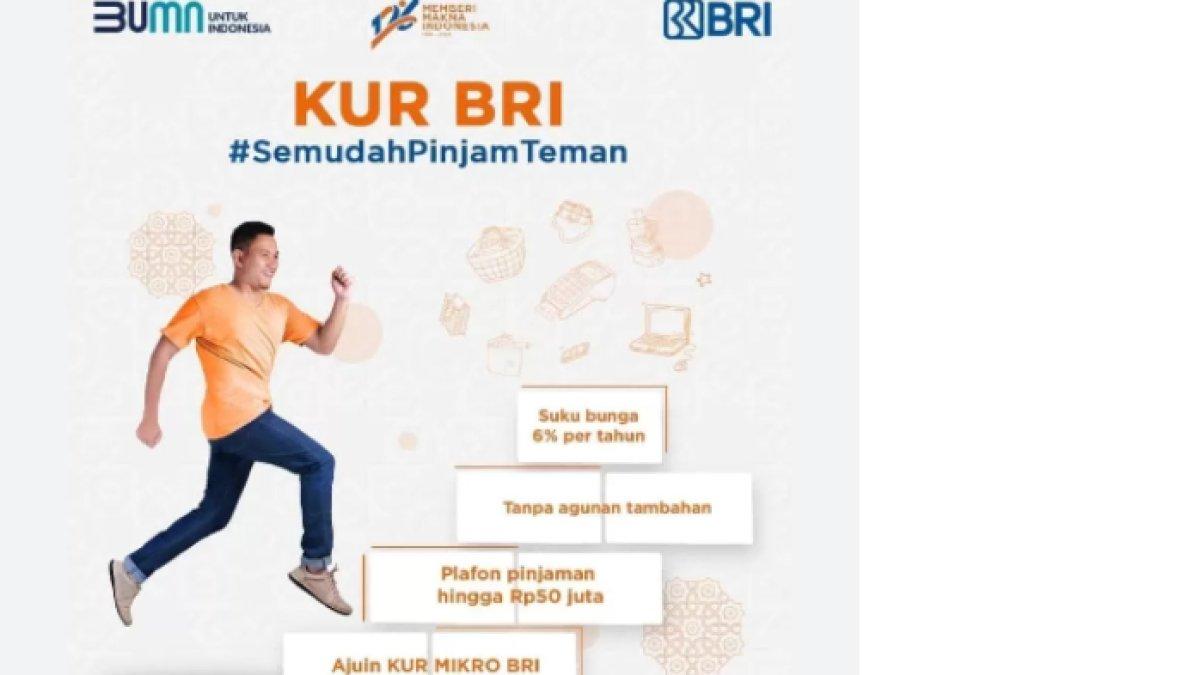 Begini cara pinjam uang lewat KUR BRI, dijamin praktis, cocok untuk modal usaha, dijamin cuan.