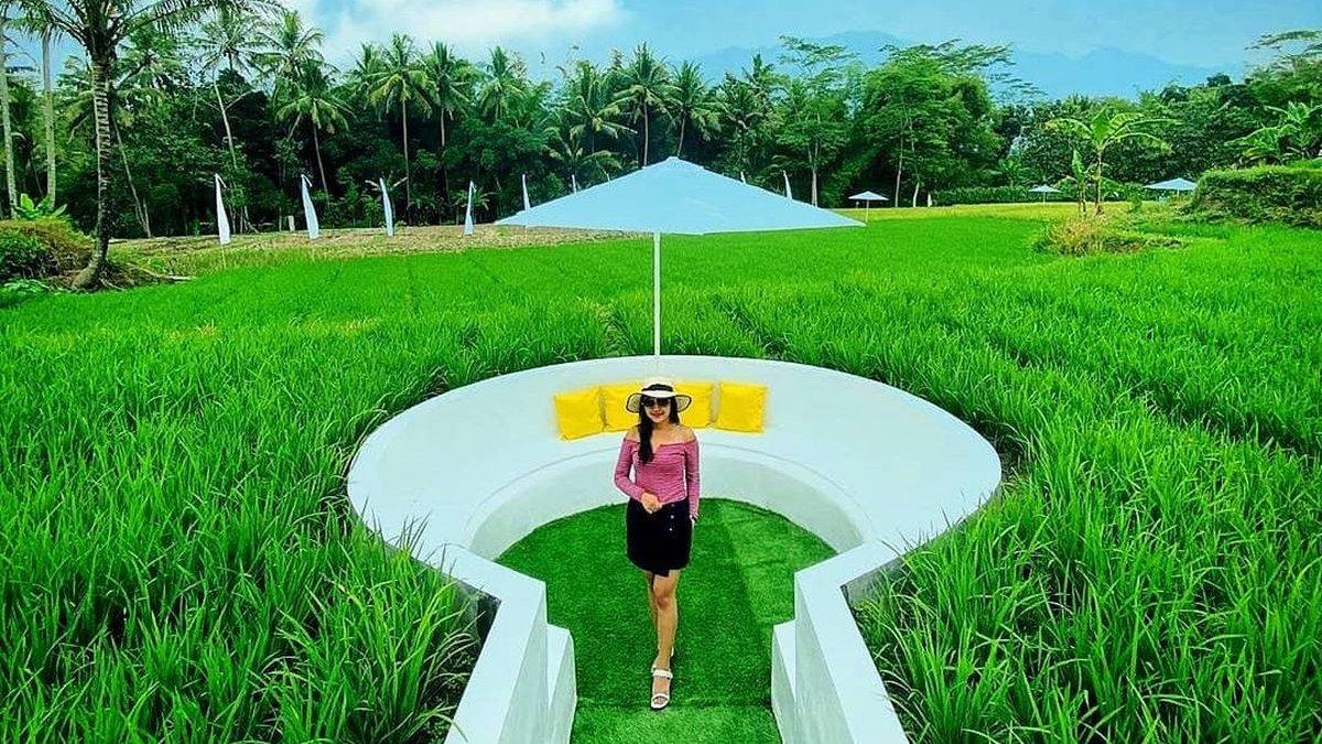 WISATA DI MAGELANg - Salah satu spot foto berlatar belakang hamparan sawah yang hijau di Svargabumi Borobudur.