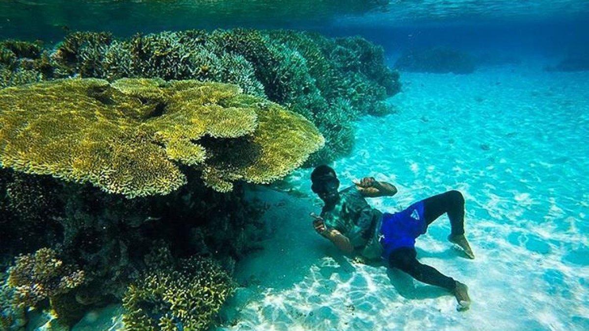 Tampak indah dan jernih bawah laut Pulau Bidadari