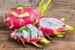 Buah naga
