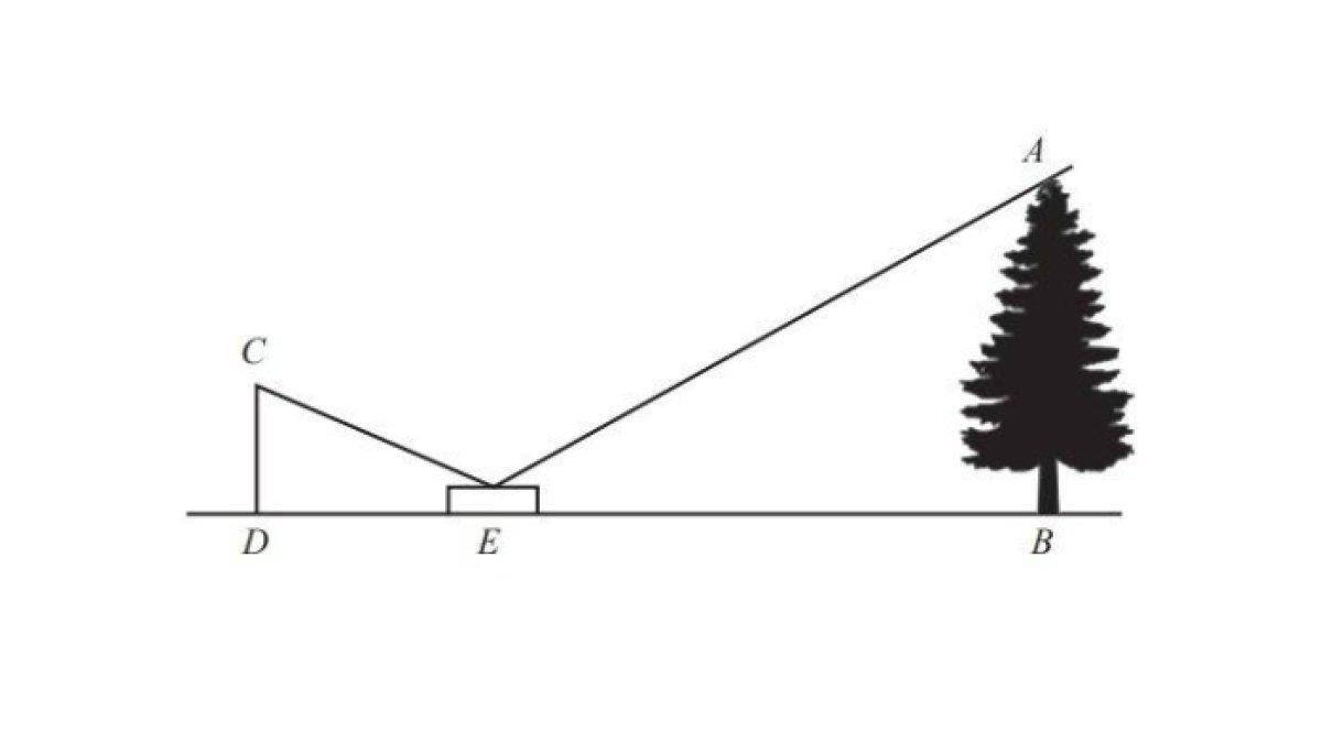 buku Matematika kelas 9 soal no 14