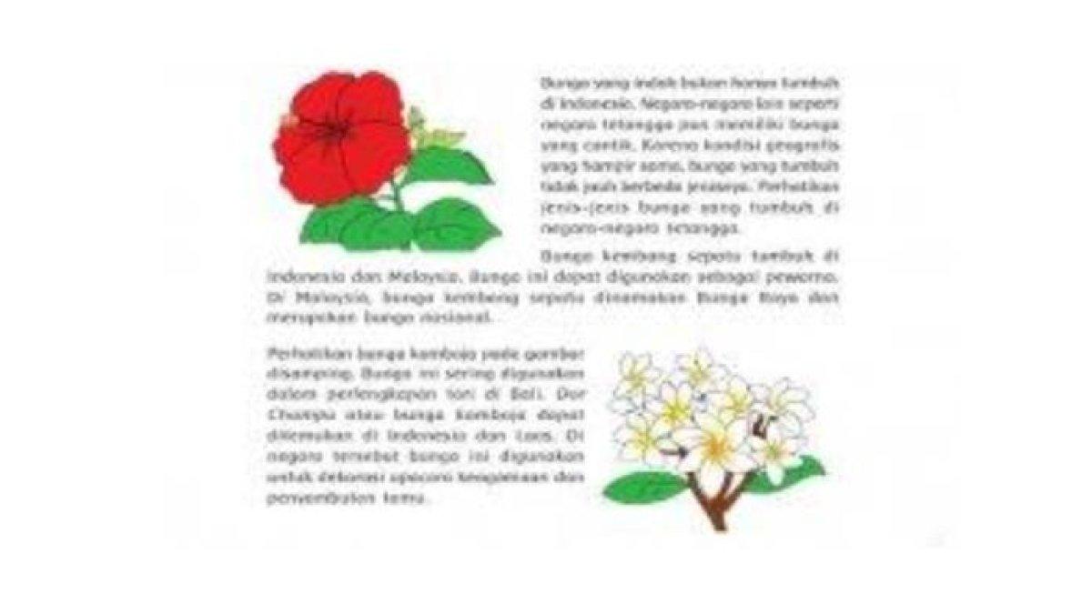 Bunga Kembang Sepatu dan Bunga Kamboja