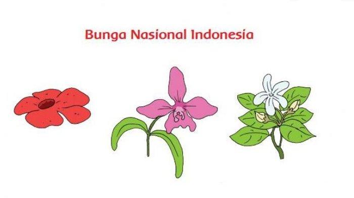 Bunga Nasional Indonesia