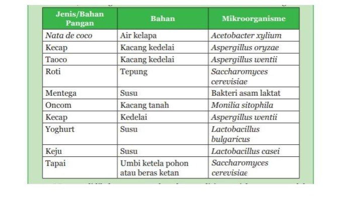 Contoh makanan atau minuman yang merupakan produk bioteknologi dan identifikasilah mikroorganisme. (Buku Guru Ipa Kelas 9)