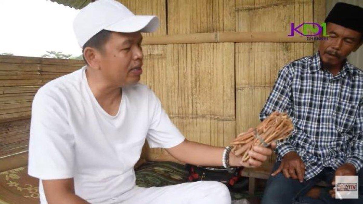 Dedi Mulyadi