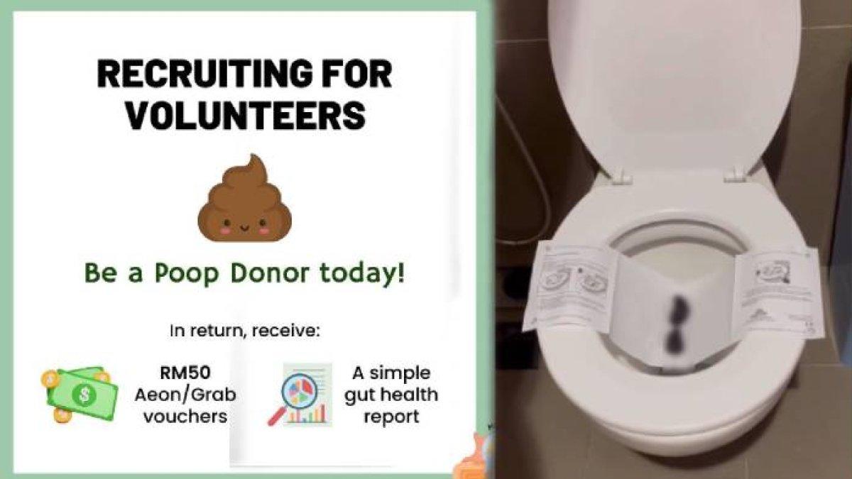Donor tinja