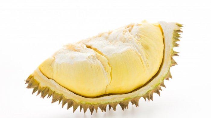 ILUSTRASI DURIAN KLATEN - Durian yang punya segudang manfaat bagi kesehatan