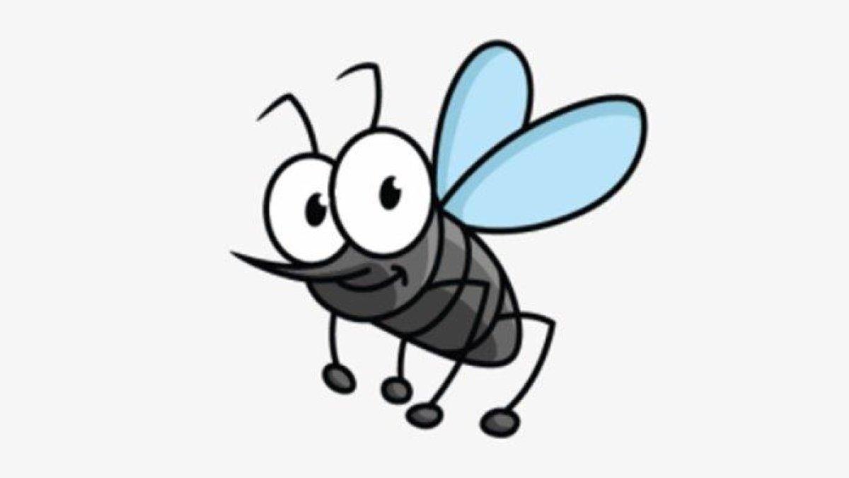 gambar ilustrasi nyamuk.