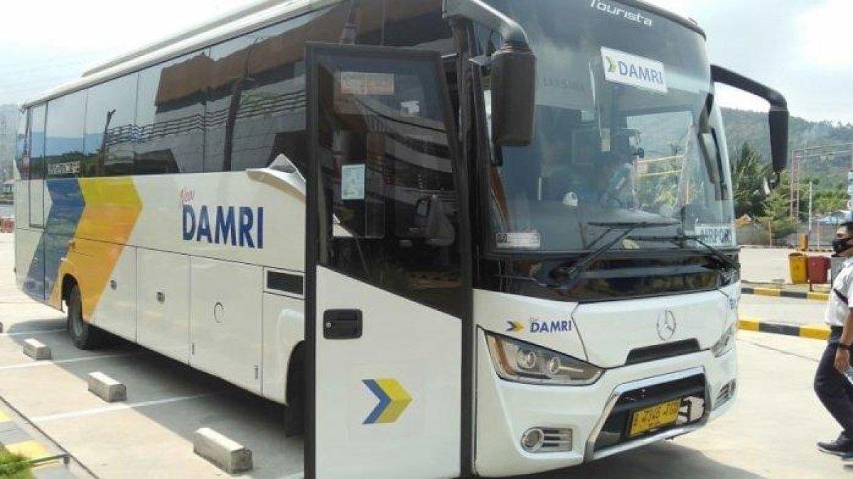 Ilustrasi armada bus Damri.
