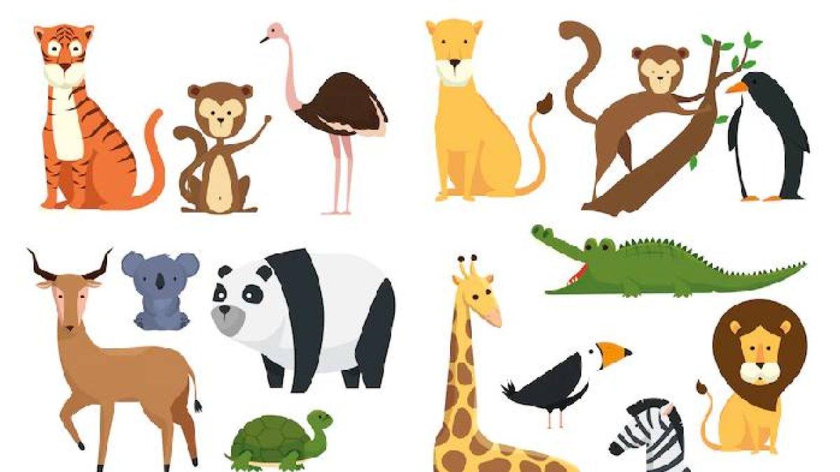 Ilustrasi ciri ciri binatang kesayangan 