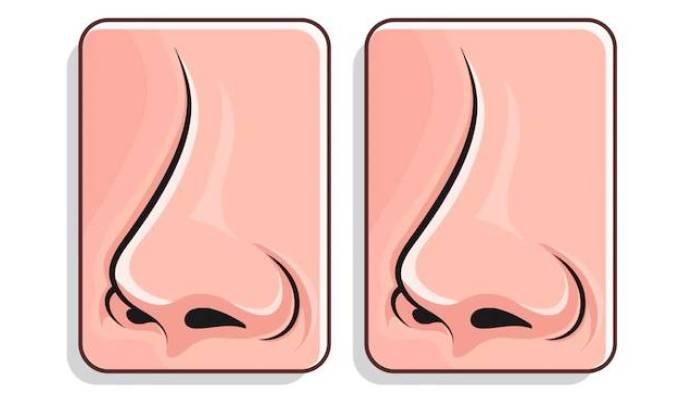 Ilustrasi hidung, soal dan kunci jawaban tema 2 kelas 5 SD subtema 1 pembelajaran 2 hal 16, 17, dan 18