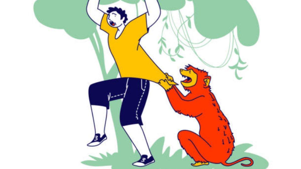 Ilustrasi monyet 