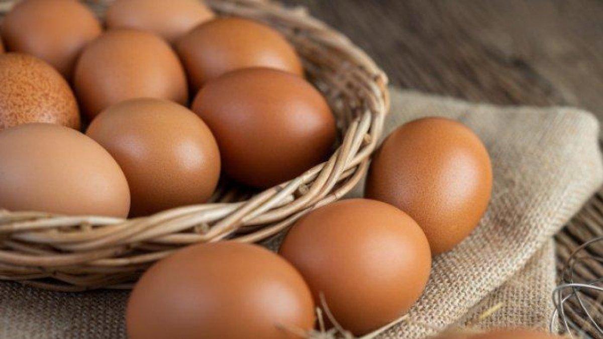 Ilustrasi Telur Ayam.